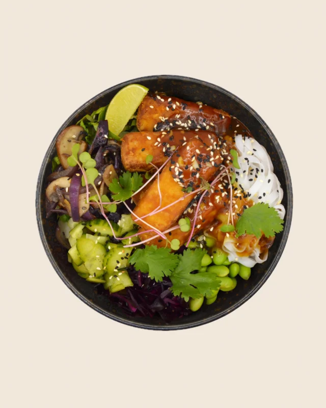 Asian Fusion Noodles 🔥

📍 Stavte se k nám na Vaňkovku a dejte si tuhle misku plnou barev, vůní a chutí, které vás přenesou rovnou na asijský street food trh ✨ 

🍜 Rýžové nudle ve sladko-kyselé omáčce, křupavé tofu 🧡, naložená zelenina 🥒, restované houby s červenou cibulkou 🍄🧅, edamame, salátová směs 🥗, microgreens 🌱, koriandr 🌿, sezamové kouzlo a kapka limetky 🍋

#ForkysStreet ☁️
#ForkysStreetFood #StreetFoodLovers #ForkysFlavours #EatDifferent #RespectForLife #CloudVibe #PlantStreetVibes